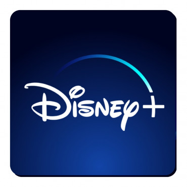 Disney+ Subscription