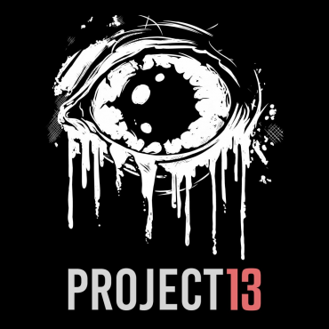 Project 13