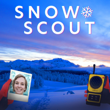 Snow Scout PS5