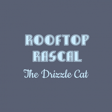 Rooftop Rascal: The Drizzle Cat PS5