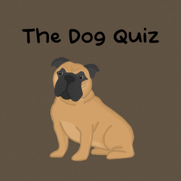 The Dog Quiz PS5