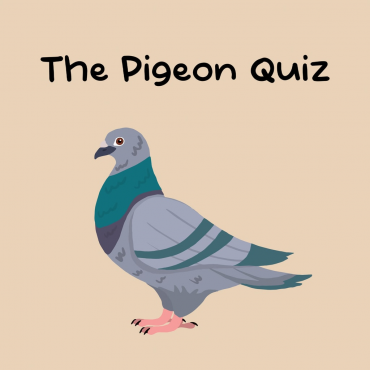 The Pigeon Quiz PS5