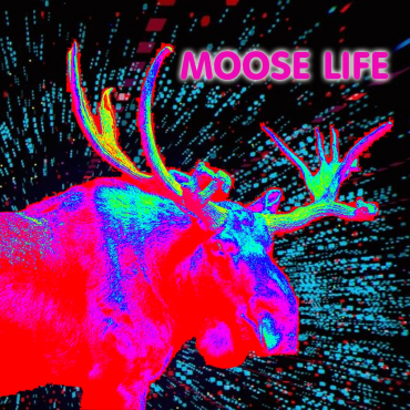 Moose Life