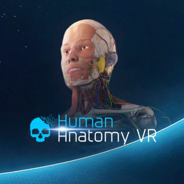 Human Anatomy VR